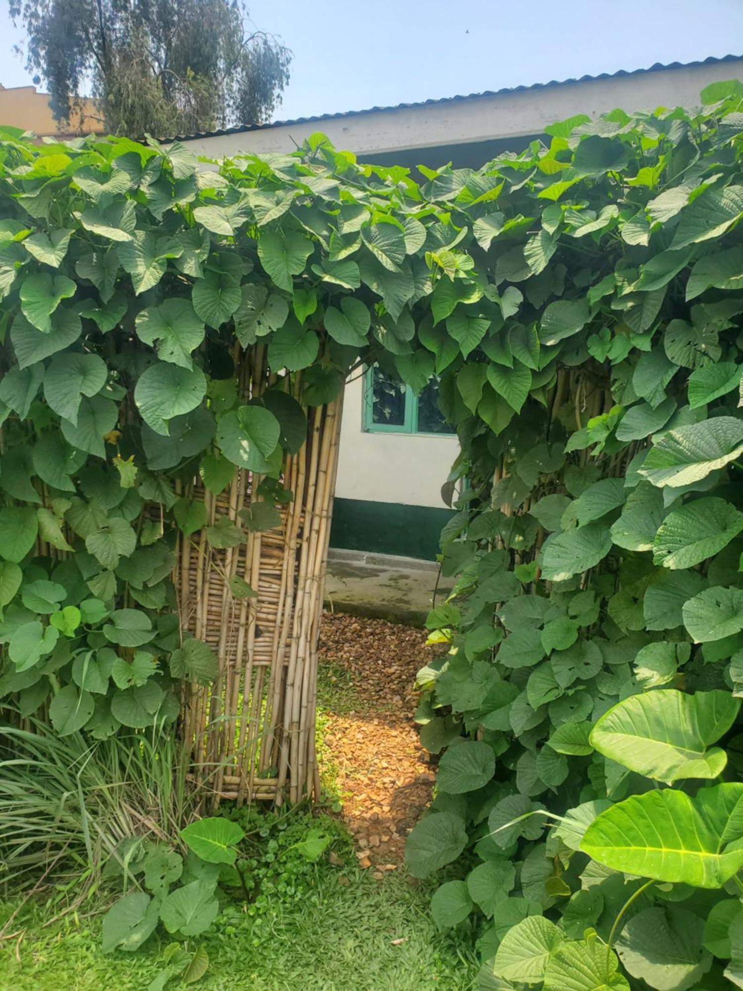 Gaia Eco Hub Bnb 포트포털 외부 사진
